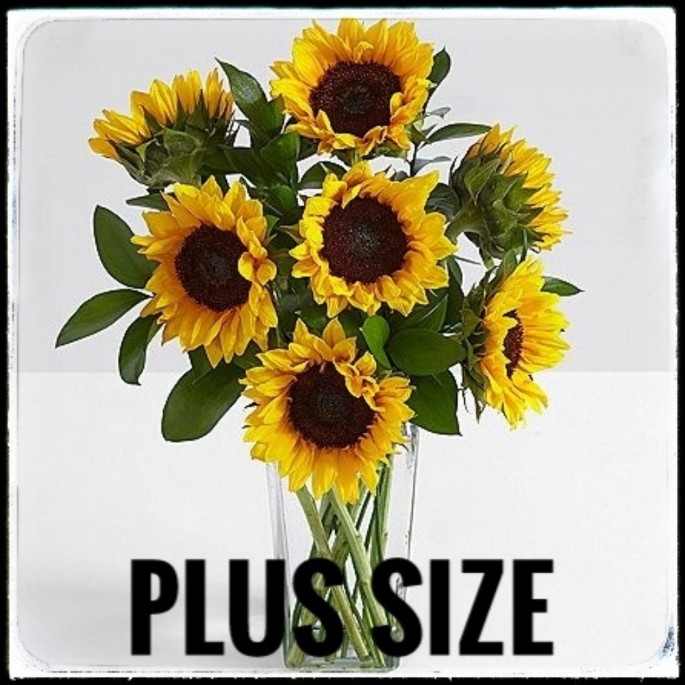 Plus Size - Bundle and Save